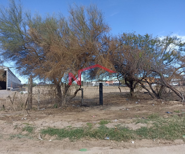 SE RENTA TERRENO  EN CARRETERA HERMOSILLO - URES
