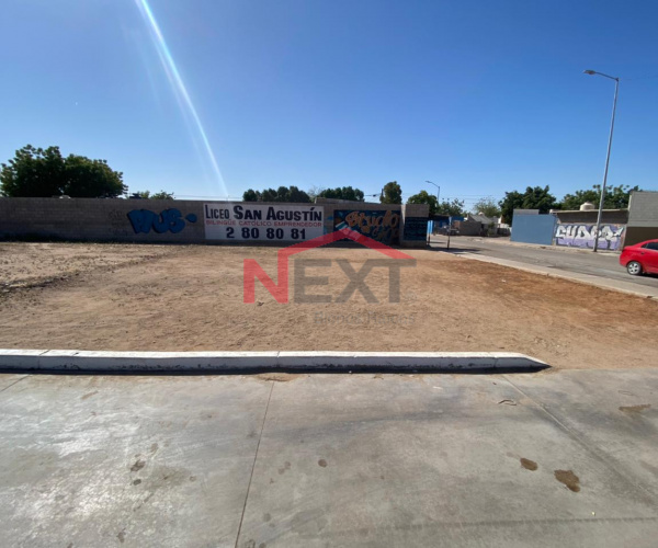 SE RENTA TERRENO COMERCIAL EN COLONIA LA CHOLLA