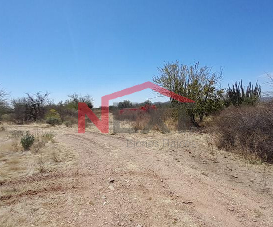 TERRENO EN VENTA EN CAMPESTRE EN EL REAL DEL ALAMITO