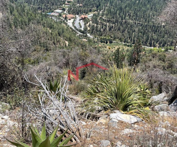 EN VENTA HERMOSO TERRENO EN BOSQUES DE MONTERREAL