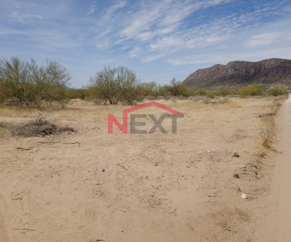 TERRENO EN VENTA LOS PINOS
