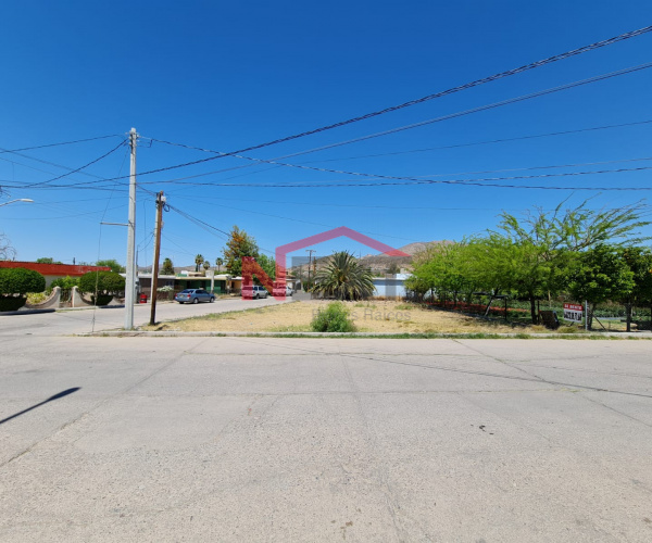 TERRENO EN RENTA MAGDALENA DE KINO