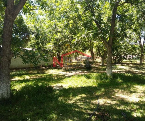 SE VENDE HUERTA  EN CALZADA DEL MARQUEZ EN  PARRAS DE LA FUENTE