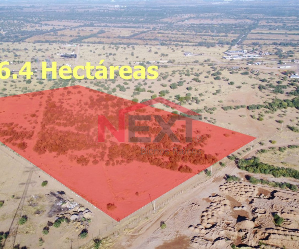 TERRENO EN VENTA EJIDO VILLA DE SERIS