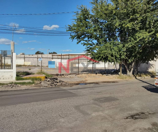 TERRENO EN RENTA SOBRE BLVD. LUIS ENCINAS COL. LOS NARANJOS