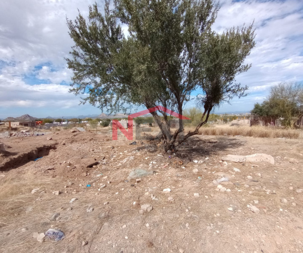 TERRENO EN VENTA EN ALTARES II