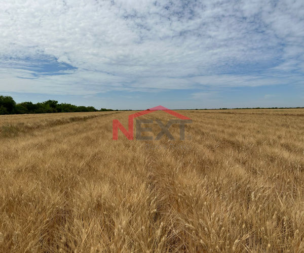 CAMPO AGRICOLA EN VENTA BACAME ETCHOJOA SONORA