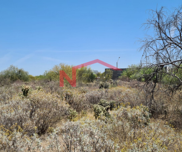 TERRENO EN VENTA REAL DE ALAMITO