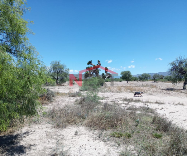VENTA RANCHO CARRETERA A ZACATECAS