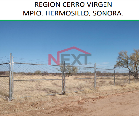 SE VENDE TERRENO EN FRACCIONAMIENTO LOS PINOS
