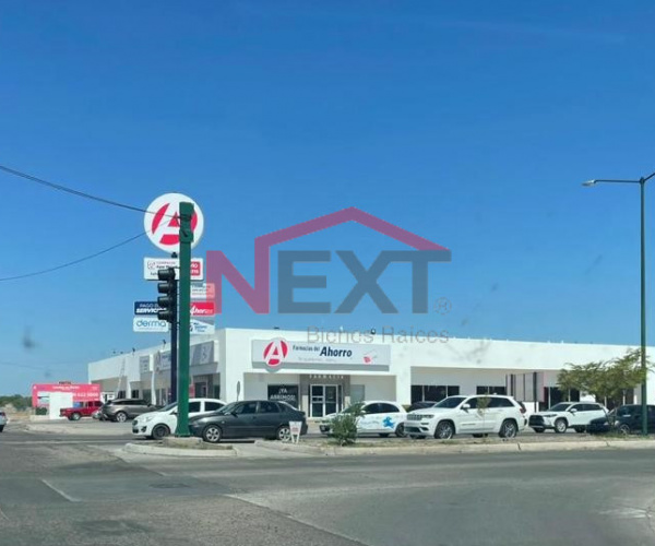 LOCALES DE RENTA EN PLAZA COMERCIAL SOBRE VADO DEL RIO