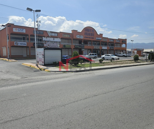 Terreno Industrial Calzada Antonio Narro