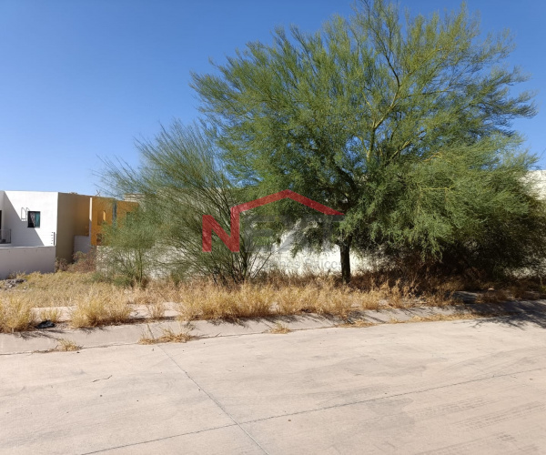 TERRENO EN VENTA SANTA LUCIA RESIDENCIAL