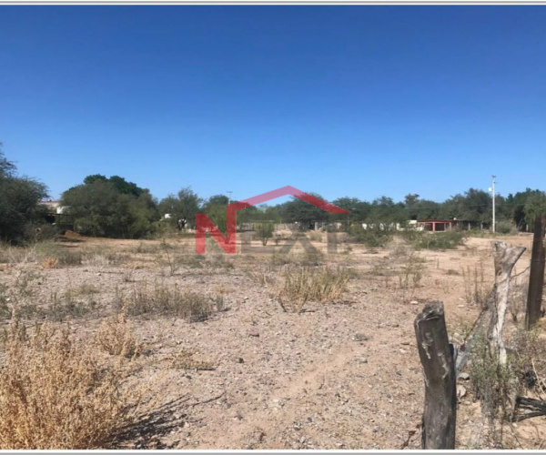 TERRENO EN RENTA EJIDO LA VICTORIA