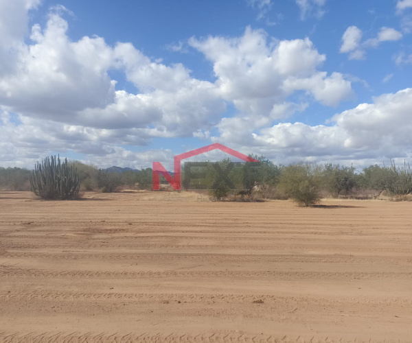 TERRENO EN VENTA REAL DEL ALAMITO