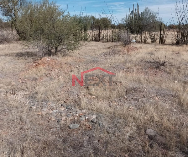 TERRENO EN VENTA CAMPESTRE FUENTE DE LA JUVENTUD EJIDO EL ZACATON