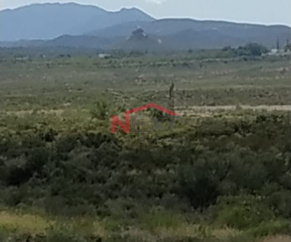 se vende terreno en parras.