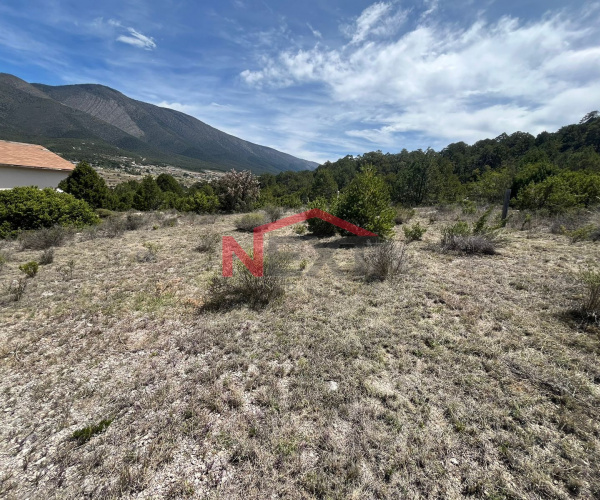 Terreno Campestre Fracc. Puerto Alto