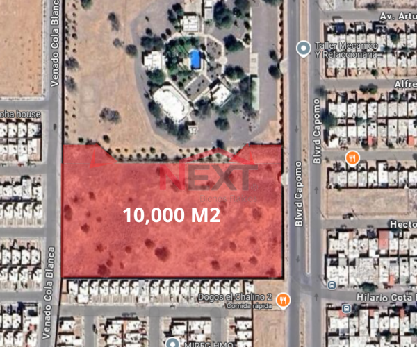 TERRENO EN RENTA EN COL. NUEVO HERMOSILLO