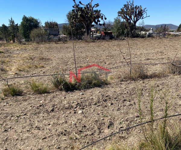 TERRENO CAMPESTRE EN SAN ANTONIO DE LAS ALAZANAS