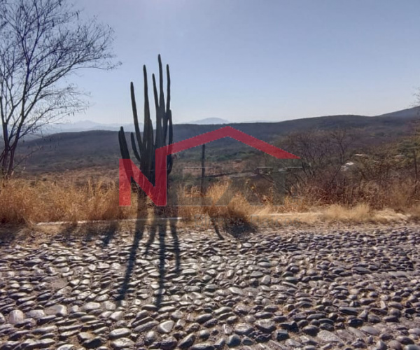 TERRENO EN VENTA UBICADO EN SUBIDA AL MIRADOR, ALAMOS, SONORA