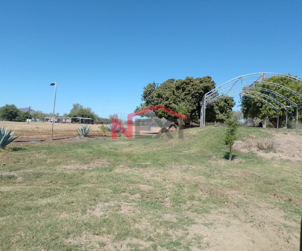 TERRENO AGRÍCOLA EN VENTA UBICADO EN LA ISLETA DE HORNOS,SONORA