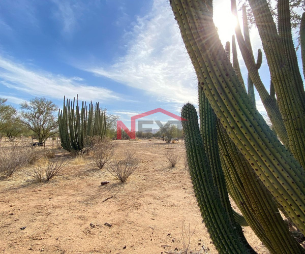 TERRENO EN VENTA EN EJIDO SAN PEDRO