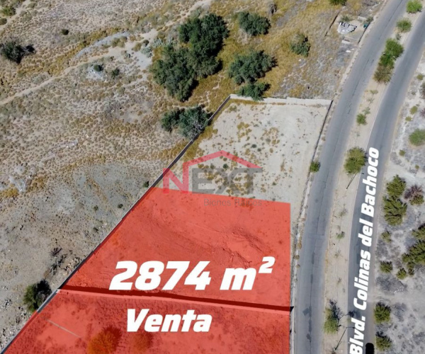 TERRENO EN VENTA EN QUINTA LA PALOMA