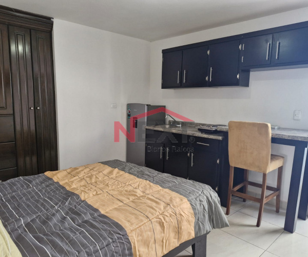 DEPARTAMENTO DE RENTA EN COL. BALDERRAMA