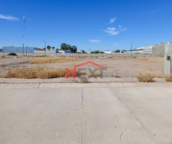 TERRENO EN VENTA EN COL. STAUS