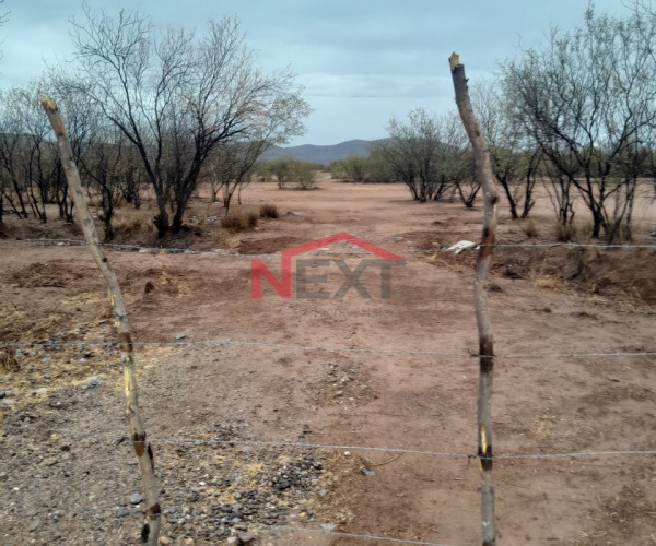 TERRENO EN VENTA EN EJIDO LA YESCA