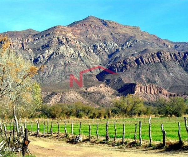 MINA DE YESO EN VENTA EN HUASABAS SONORA