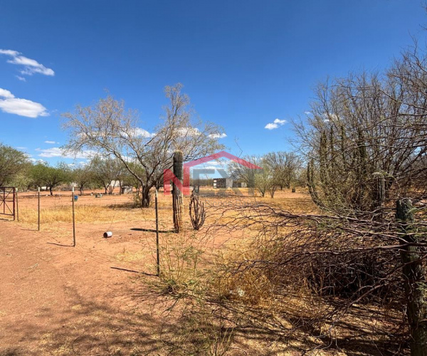 TERRENO CAMPESTRE EN VENTA EN REAL DEL CATORCE