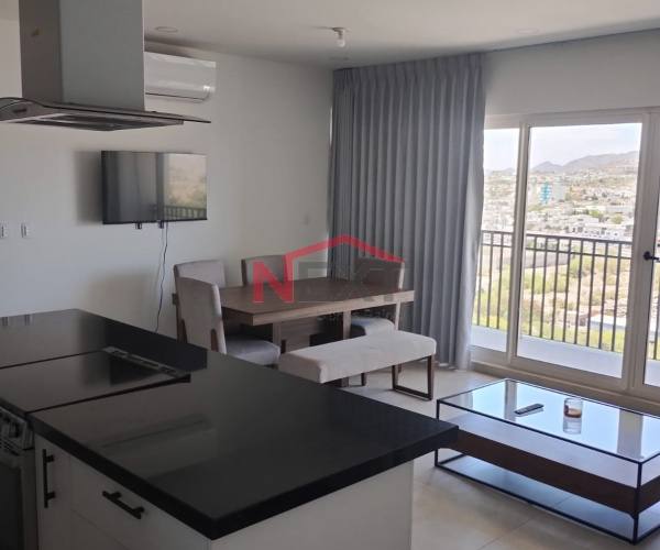 DEPARTAMENTO EN RENTA EN ALATORRE 1122