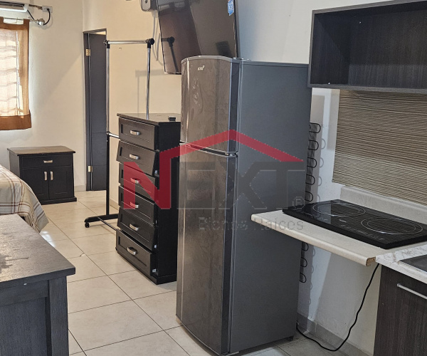 DEPARTAMENTO EN RENTA EN COL. LOS ARCOS