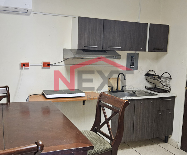 DEPARTAMENTO EN RENTA EN COL. LOS ARCOS