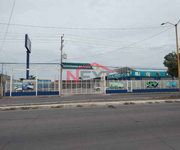 TERRENO COMERCIAL EN RENTA