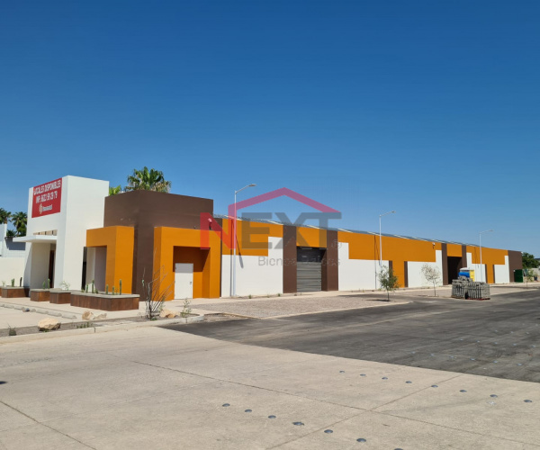 LOCAL EN RENTA EN PLAZA COMERCIAL 201