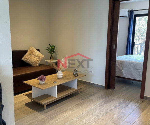 Departamento Ejecutivo amueblado en Renta, Ramos Arizpe