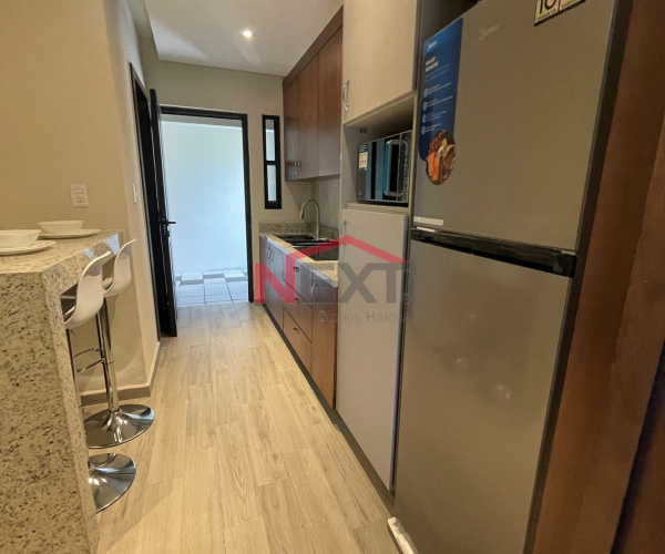 Departamento Ejecutivo amueblado en Renta, Ramos Arizpe