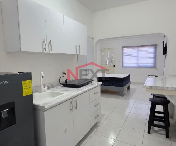 DEPARTAMENTO ESTUDIO COL. SAHUARO