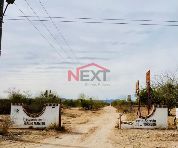 TERRENO EN VENTA EN CAMPESTRE REAL DEL ALAMITO
