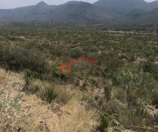 TERRENO EN RENTA EN RANCHO DE STA ROSA RAMOS ARIZPE