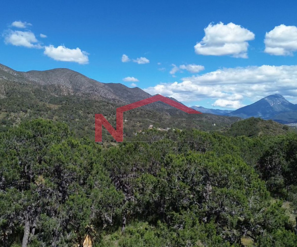 TERRENO CAMPESTRE  EN VENTA ARBOLADO (1 HA) EN COLINA ARBOLADA (SIERRA DE ARTEAGA)
