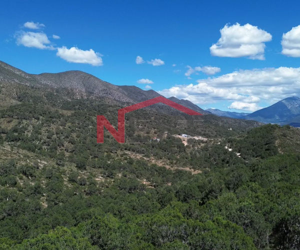 TERRENO CAMPESTRE EN VENTA RODEADO DE ARBOLES Y MONTAÑAS