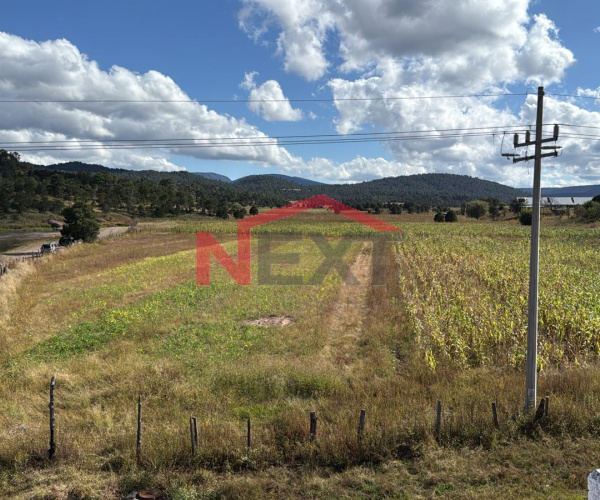TERRENO EN VENTA EN YECORA SONORA
