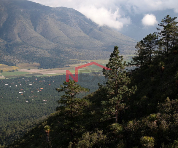 PRE-VENTA DE TERRENO EN EL DIAMANTE SIERRA DE ARTEAGA (LM)