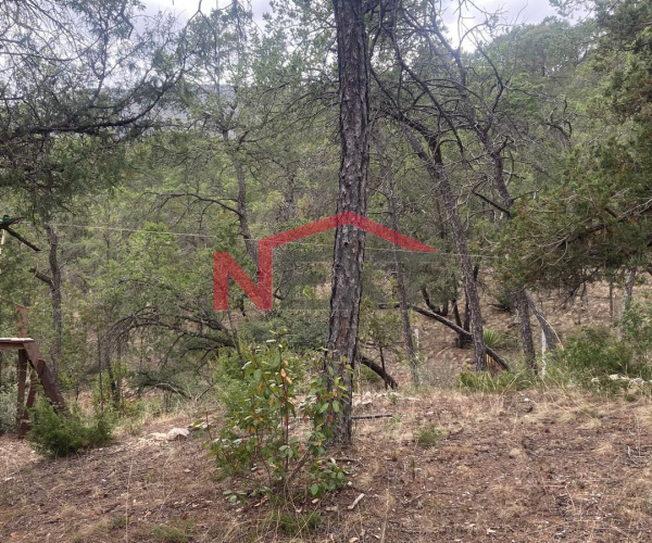 terreno en Campestre Pino Real, Arteaga,Coahuila