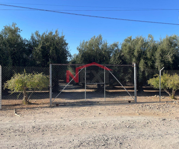 Hectáreas en Valle de las palmas Tijuana B.C