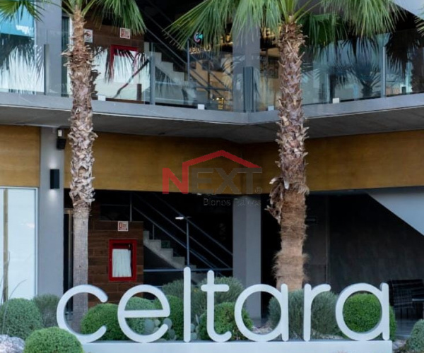 LOCAL EN RENTA EN TORRE CELTARA